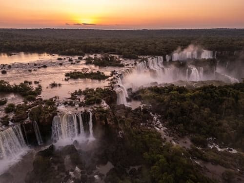 Argentine