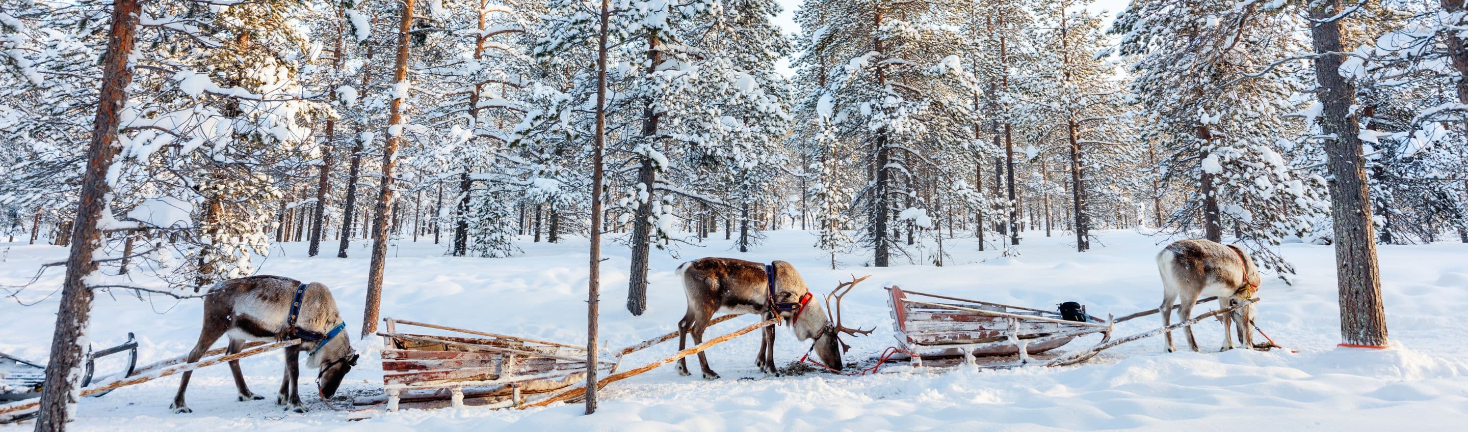 Finlande